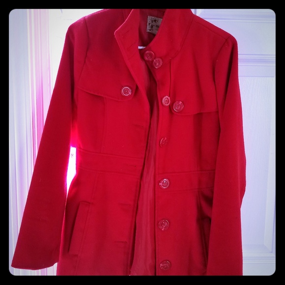 Peacot - Picture 1 of 3